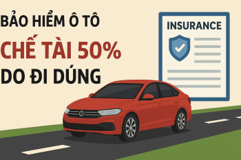 Đi đúng bị bảo hiểm chế tài 50%?